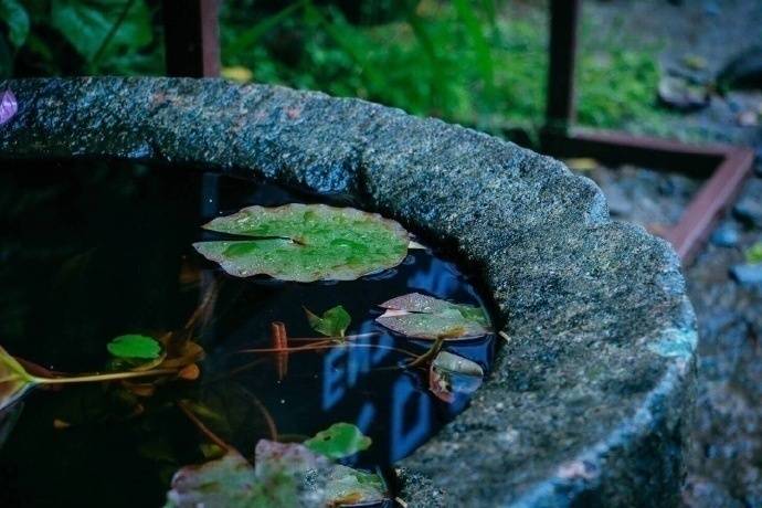 清晨入古寺，初日照高林——杭州灵隐寺 ​
cr:@我在旅行的路上