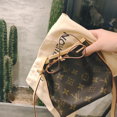 LV nano noe mini. ￥约1w