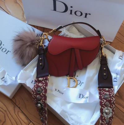 Dior saddle ￥1w7 肩带￥1w2