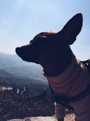 恒山冥想(´｡• ᵕ •｡`) ♡