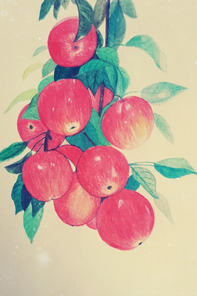 我的彩铅画作品 摘苹果的时候