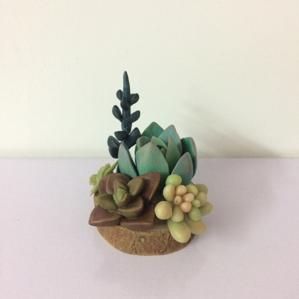 粘土多肉组合盆栽