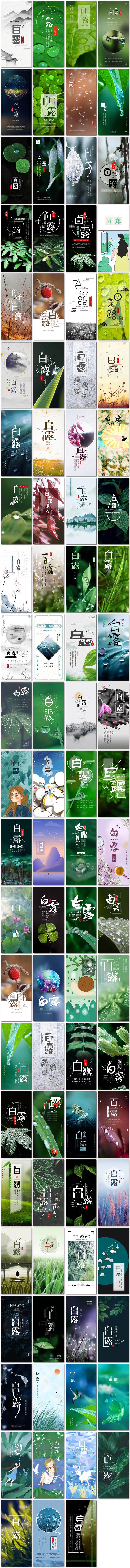 白露二十四节气24中国传统节日微信手机h5海报psd模板素材设计