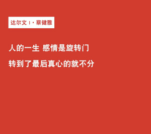 达尔文Ⅰ  蔡健雅  歌词