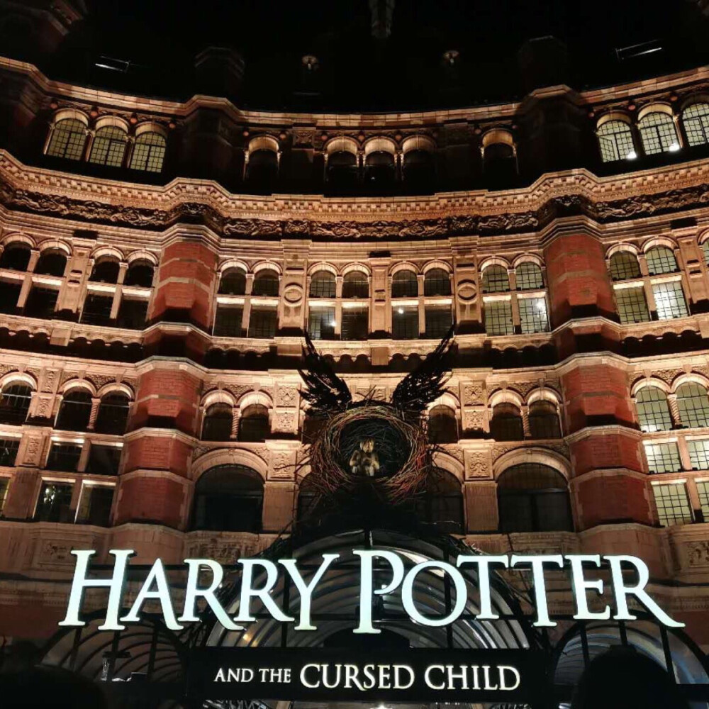 伪哈迷的偶遇
Harry Potter and the Cursed Child 