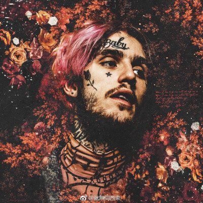 Lil Peep
1996-2017
@微博