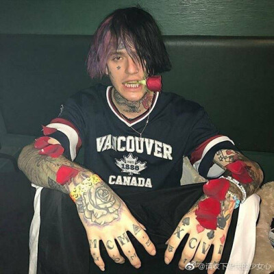 Lil Peep
1996-2017
@微博