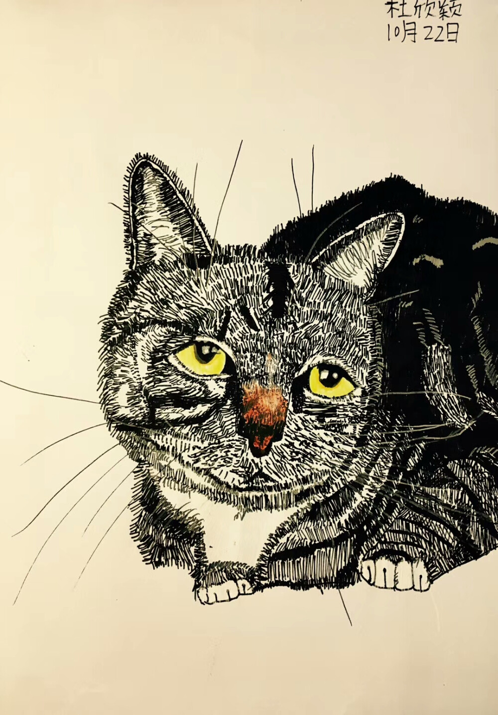 线描 儿童画 创意 装饰画 油画棒 水粉 水彩笔 彩色 黑白 动物 猫咪 螃蟹 龙虾 骑车 摩托车 越野车 运动鞋 葱姜蒜 水果 火龙果 写生 速写 花卉