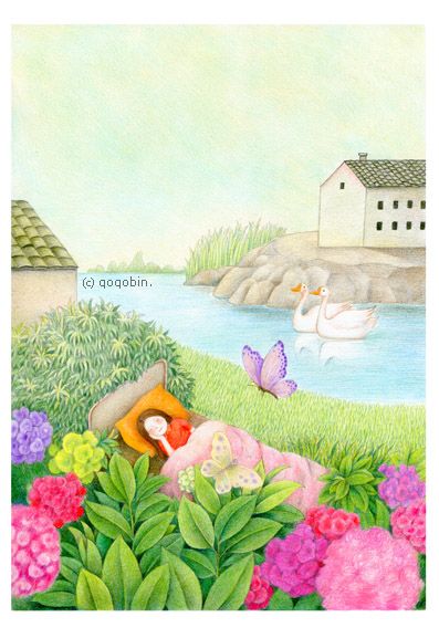 梦见家乡 孔雀插画_新浪博客