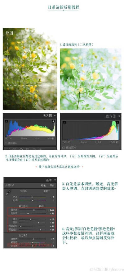 #每天学点摄影技巧#第3465期：
【极简日系小清新调色教程】很多朋友想让照片看起来很干净，很清新日系。这个教程教会你简单调出超级小清新色调~
  （作者 ：@PROoshio） 