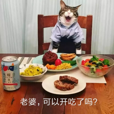 我饿了！