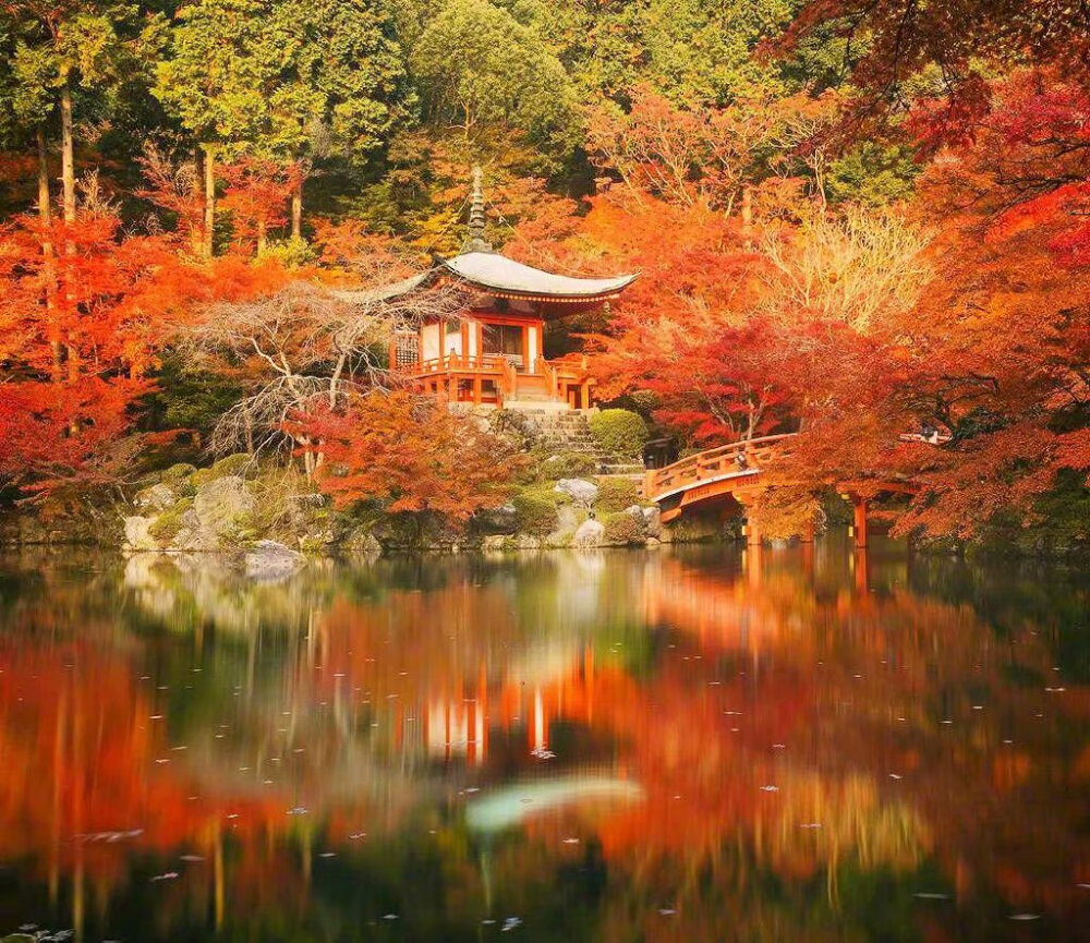 日本醍醐寺的秋 ​​​