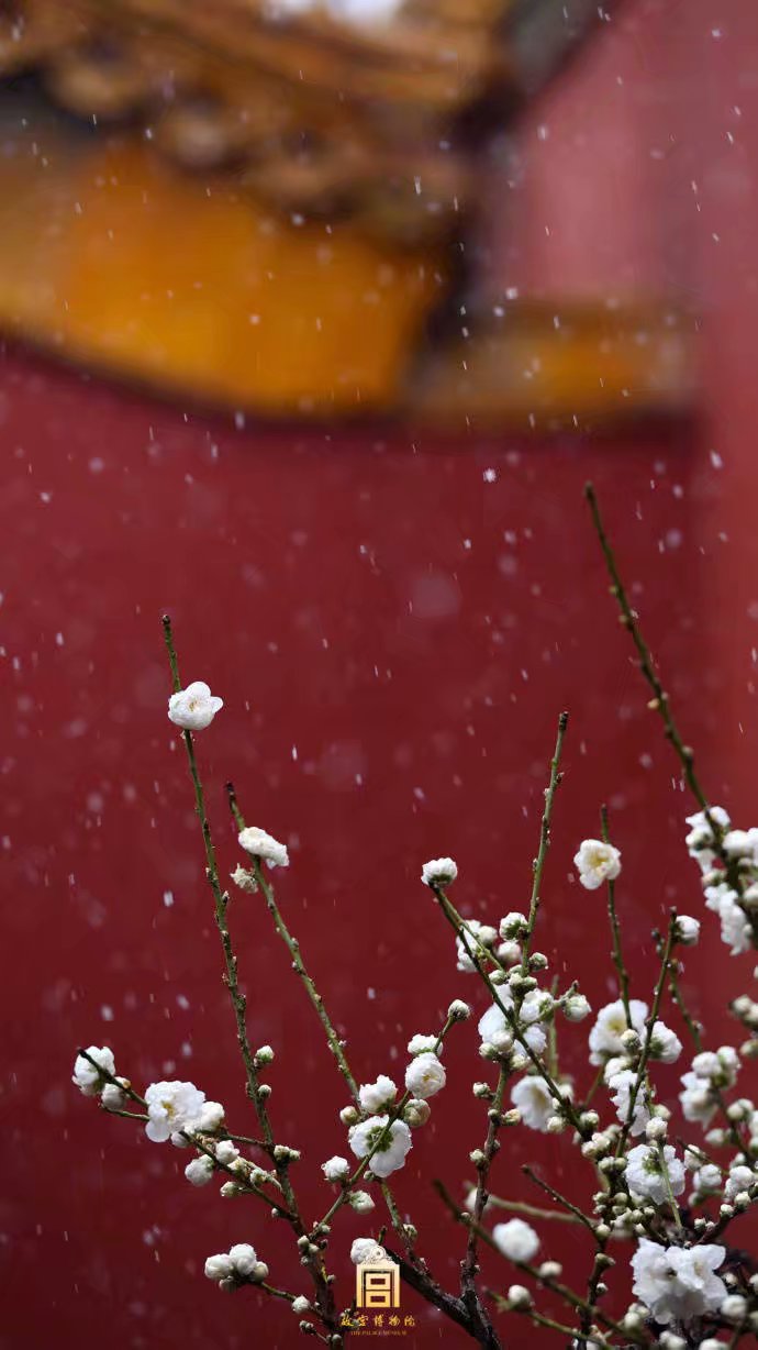  白雪 红墙
摄影师 王天浩