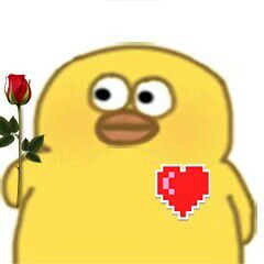 习惯了忽冷忽热 就如同习惯了春夏秋冬