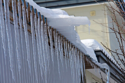 这个冬天，我们一起去北海道看雪吧~ ​