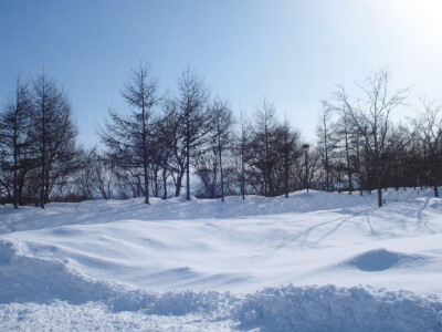 这个冬天，我们一起去北海道看雪吧~ ​