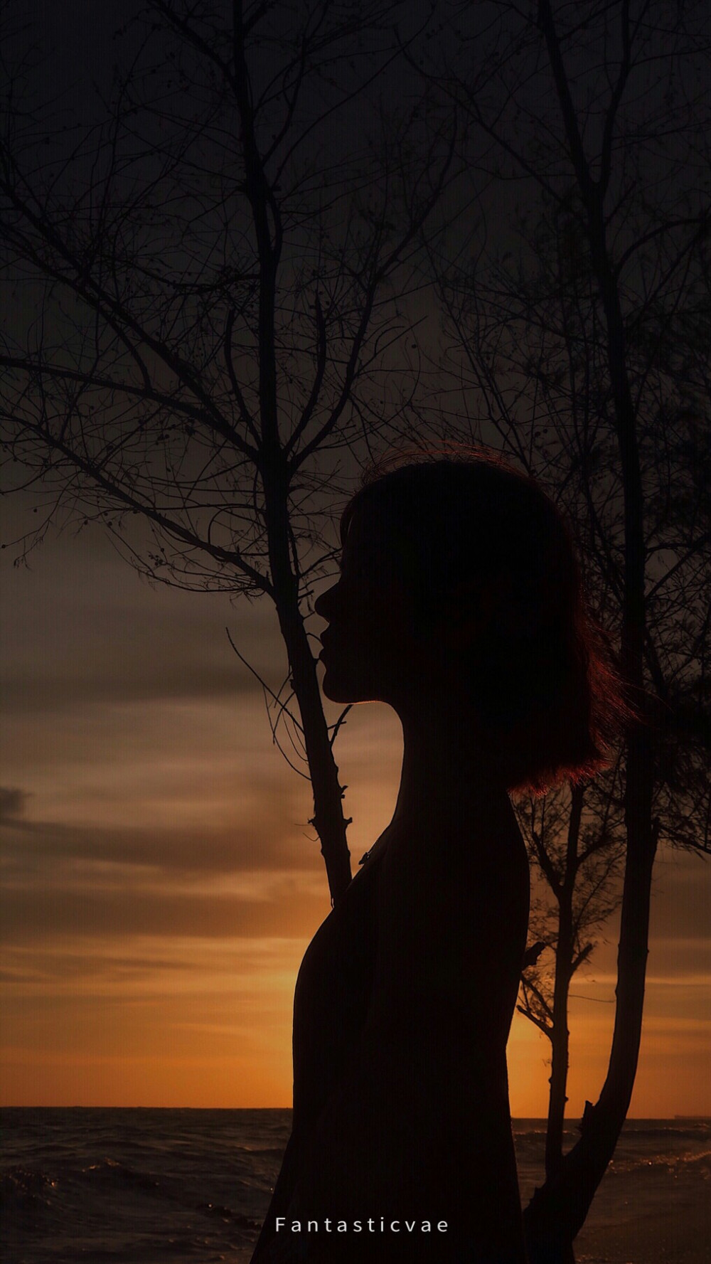 剪影- 堆糖,美图壁纸兴趣社区