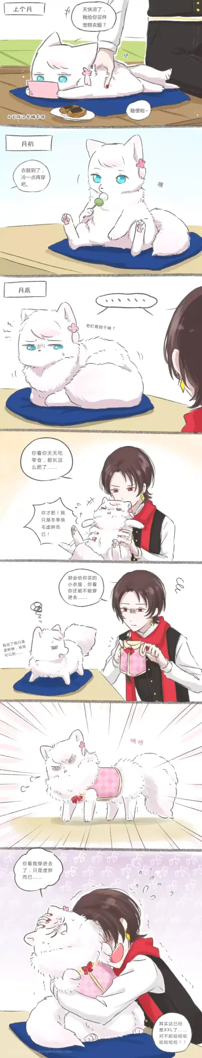 猫咪婶婶～