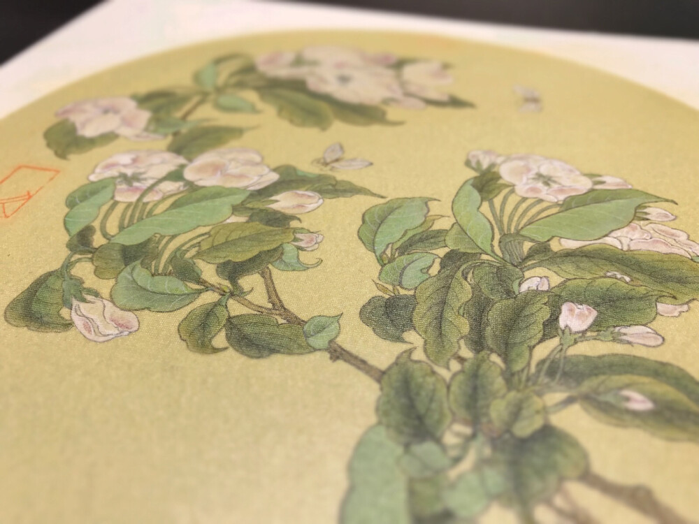 风舞海棠#工笔画##国画##扇面##花鸟##宋画#