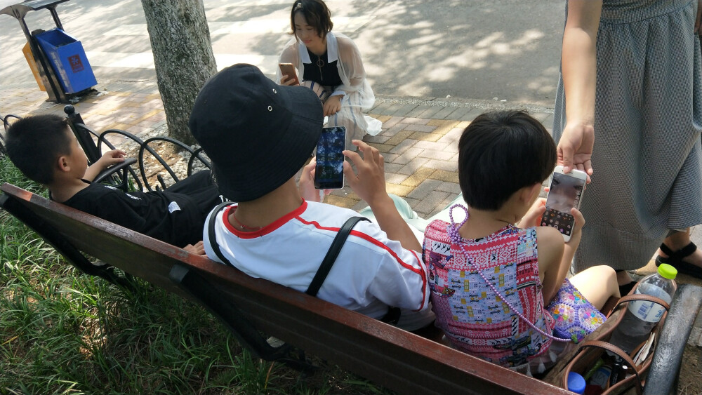 那年花开花落知多少