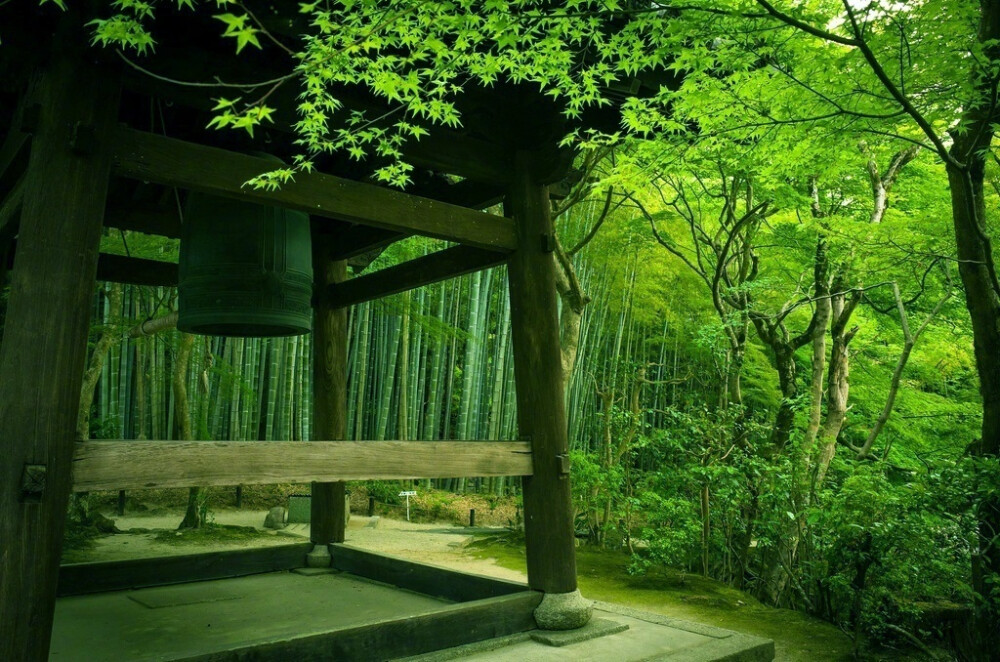 《夢窗》。苔寺、天龍寺、桂離宮、草月會館。解讀日本庭園美學。