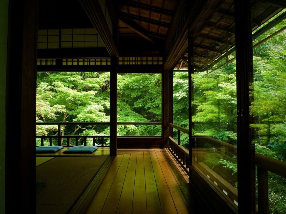 《夢窗》。苔寺、天龍寺、桂離宮、草月會館。解讀日本庭園美學。