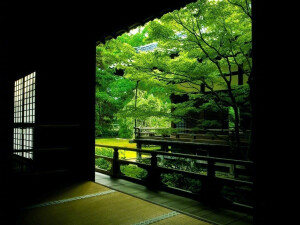 《夢窗》。苔寺、天龍寺、桂離宮、草月會館。解讀日本庭園美學。