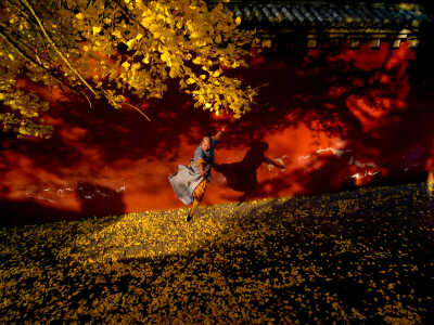 少林寺的秋天 摄影：孤胆列兵
（已获作者授权，来源500px，地址见评论）