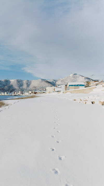 壁纸 冬 雪