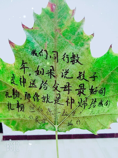 致和我一母同胞却不一样的你