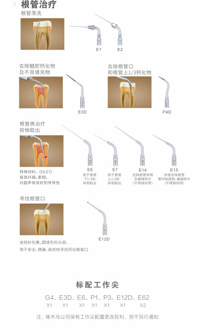 啄木鸟