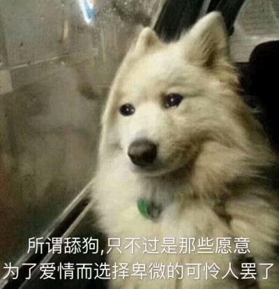 这不是头像