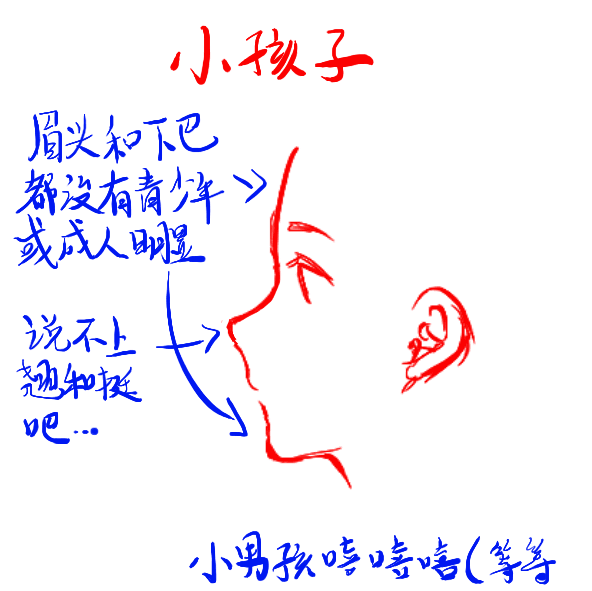 侧颜画法