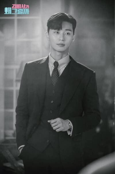 朴叙俊.金秘书为何那样