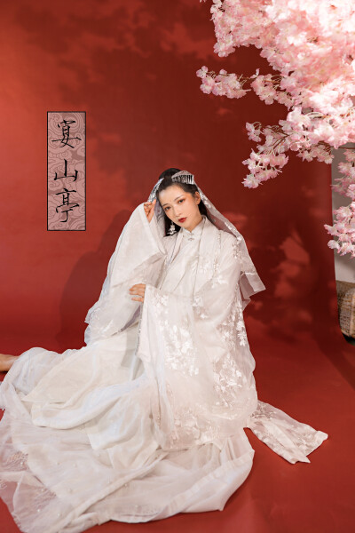 宴山亭传统汉服女春秋装 明制 刺绣披风 竖领大襟 齐腰-与君守