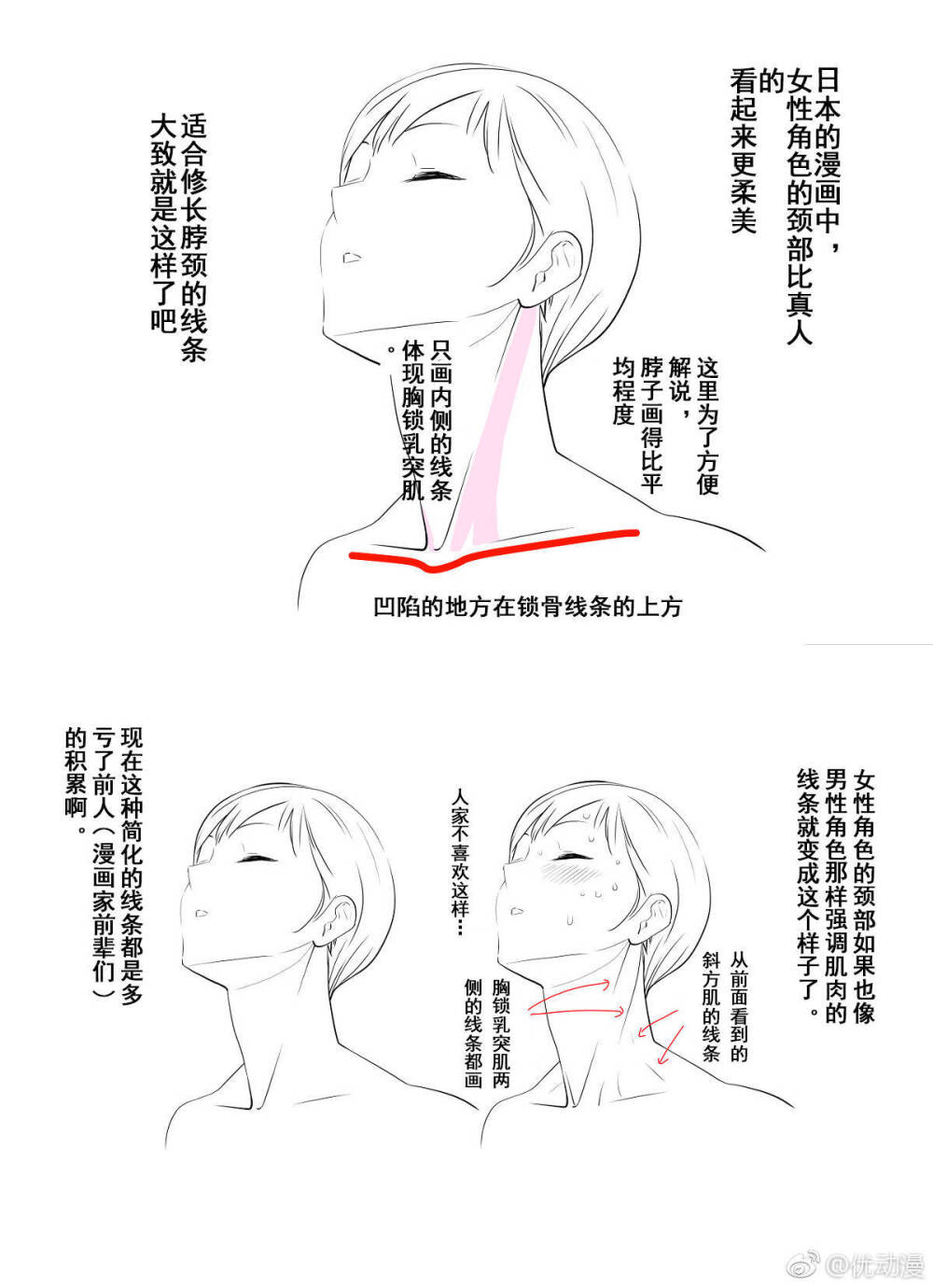 动漫脖子和肩膀的画法图片