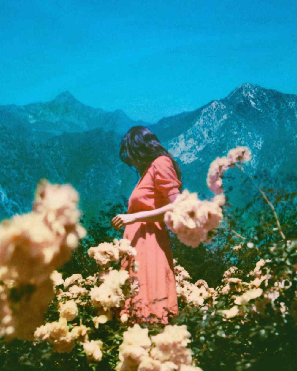 neilkrug