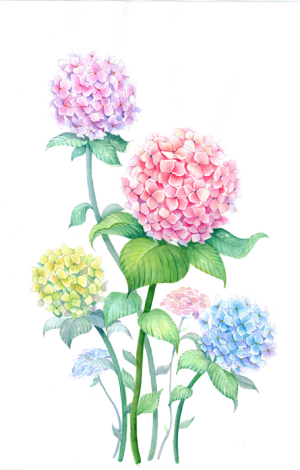 免扣花