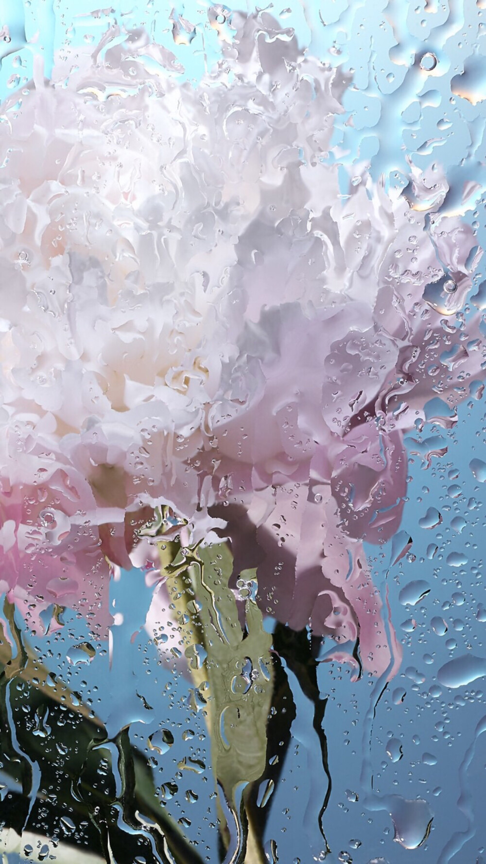 不只是小孩子会赌气 我们这些大孩子也会赌气 并且更加持久 ​​​