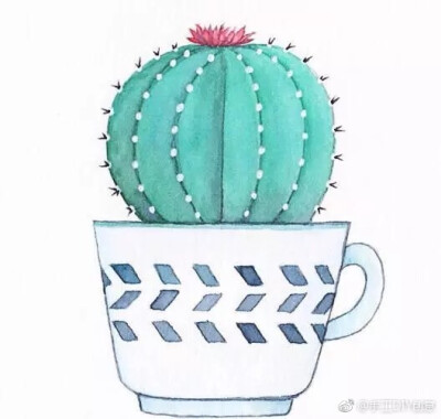 可爱仙人掌