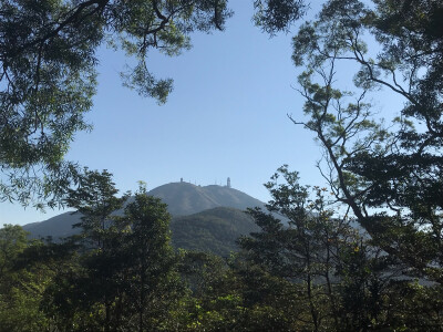 Tai Mo Shan 大帽山 957m MacLehose Trail Stage9 20181028