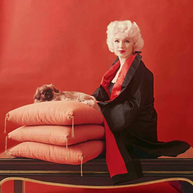 Marilyn photographed by Milton Greene, March 28, 1955