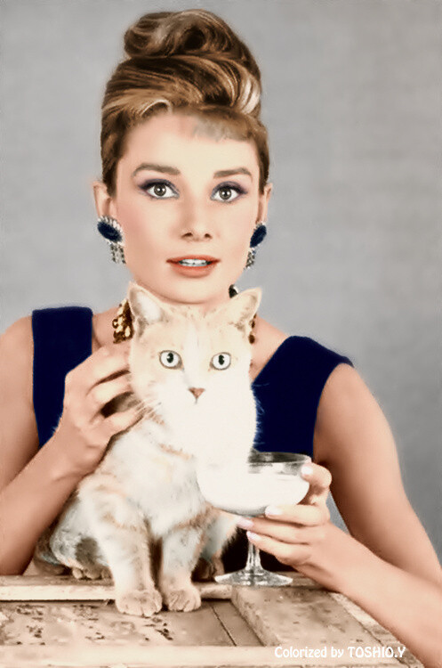 #Audrey Hepburn# in Breakfast at Tiffany’s with Cat, 1961.