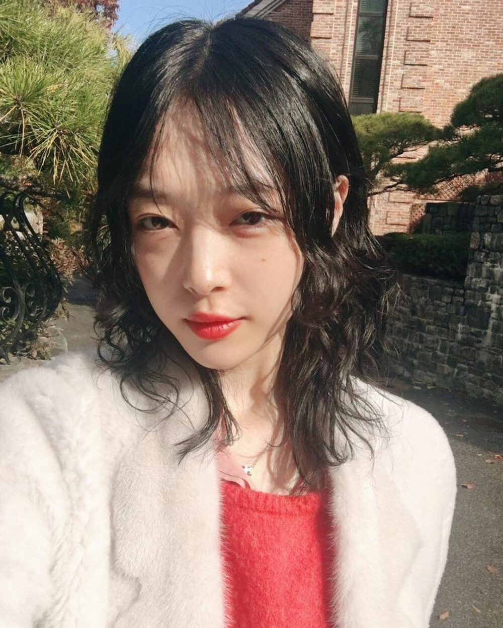 崔雪莉 崔真理 Sulli  壁纸 头像