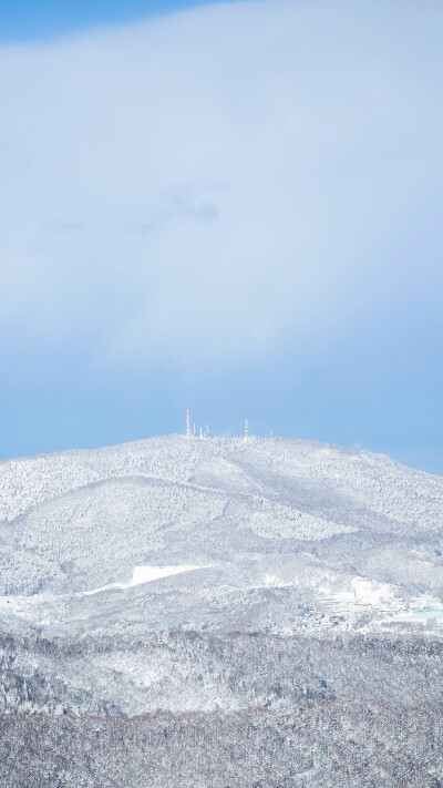 壁纸。雪