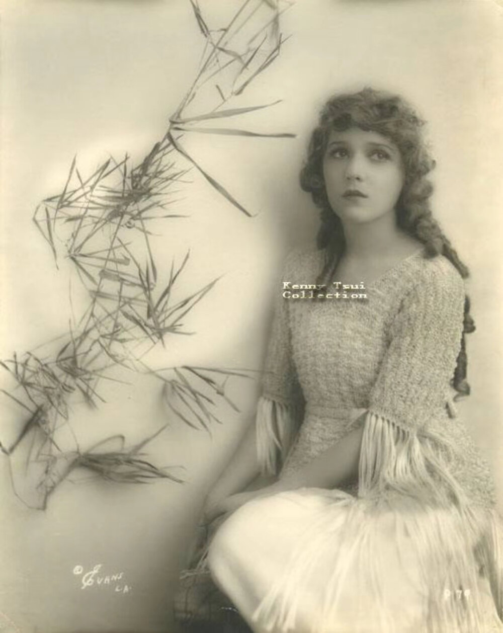 玛丽碧克馥
Mary Pickford 1892-1979年
美国默片女演员