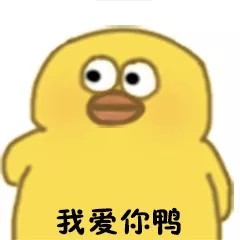 小黄鸭