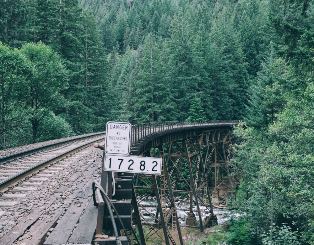 通往森林的火车轨道