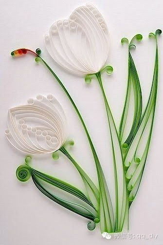 植物系