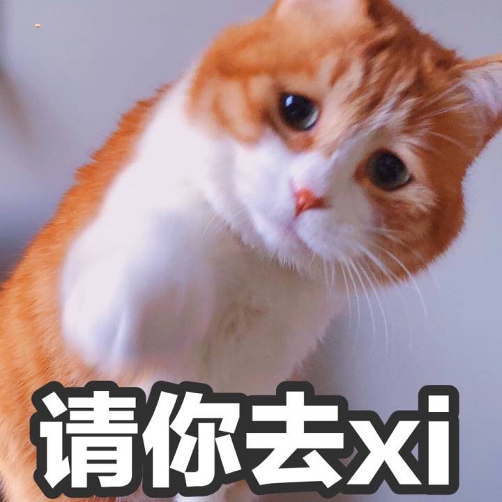 橘猫。表情图